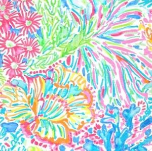 Lilly Pulitzer Maxi dress